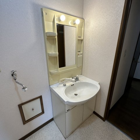 アラモードＳ・Ｋの洗面所