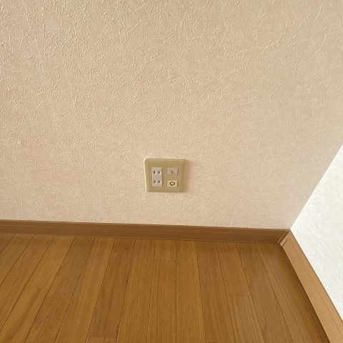 ベルシーヌ緑のその他