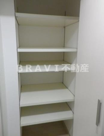 BRAVI上本町（ブラービ上本町）　BRAVI不動産の収納|【BRAVI上本町】十分な収納スペースがあります
