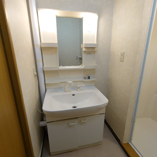 コーポアイリスの洗面所