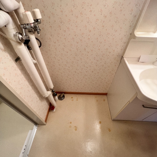 フジナカコーポⅨのその他