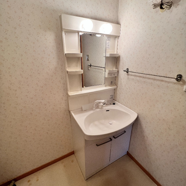 フジナカコーポⅨの洗面所