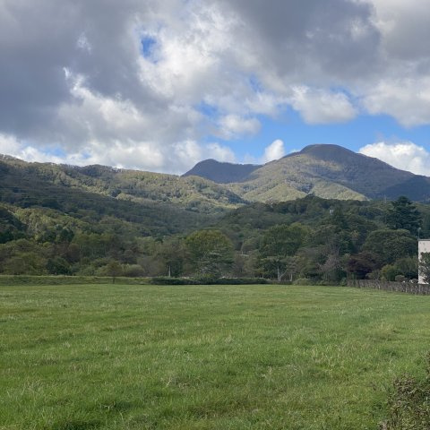 グランメゾン片倉1のその他