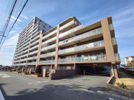 エクセレントプレイスドリームマークスの画像