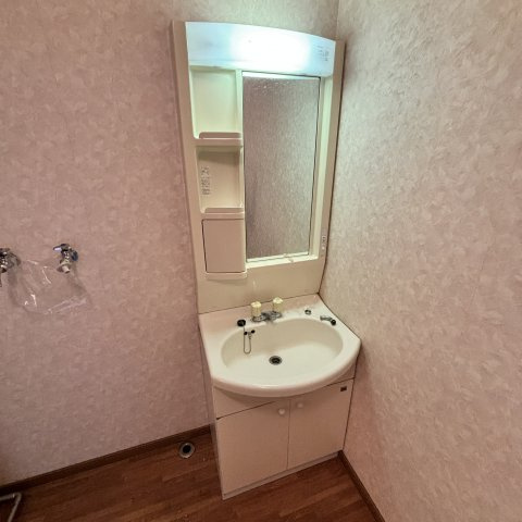 コーポスワンAの洗面所