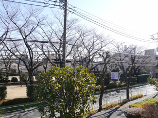 【展望】