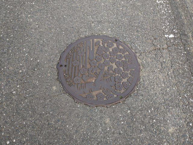 夜の森北二丁目売地のその他
