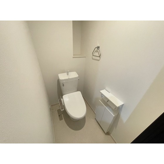 熊本市中央区坪井１丁目の賃貸マンションのトイレ
