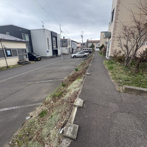 ドリームハイツⅡの庭