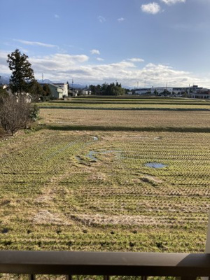 【展望】 | べアベニュー