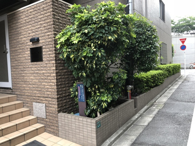 【エントランス】 | 桜坂ハイツ