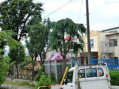 幼稚園・保育園