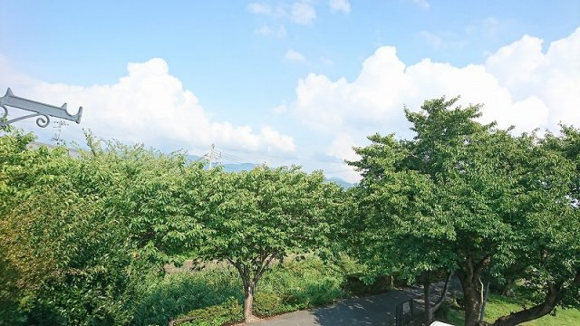 Van Vincentの展望|目の前が公園と、平田川ですので緑で癒されます！春には桜が満開で綺麗ですよ。