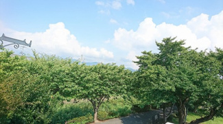 【展望】 | 目の前が公園と、平田川ですので緑で癒されます！春には桜が満開で綺麗ですよ。