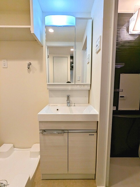 リビオメゾン上野入谷の洗面所|2面鏡付きハンドシャワー付き独立洗面台です、洗濯機置場はお手入れしやすい様に、排水口を手前に位置し、足高の防水パンです