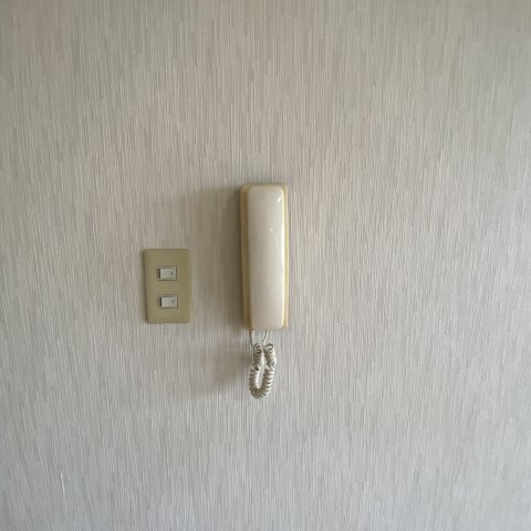 チェリーハイツＡＹＡのセキュリティ