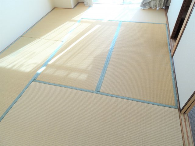 緑園サンコーポの和室