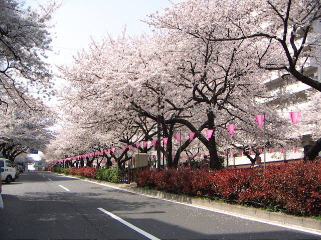【その他】