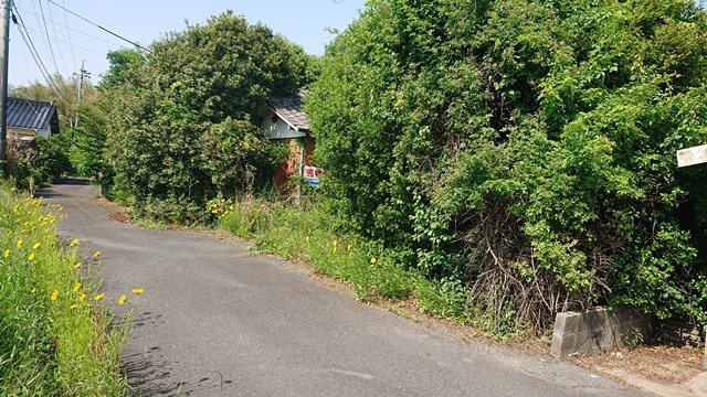 【前面道路含む現地写真】の画像