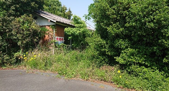 【土地図】の画像