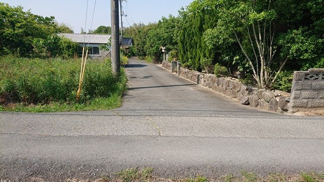 【その他】の画像