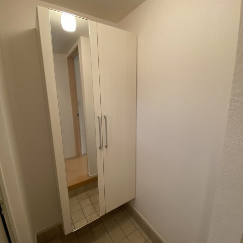 プリュス　ボナールのその他