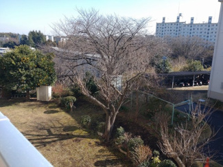 【展望】 | 和室とリビングの２室に面するバルコニーからの眺望