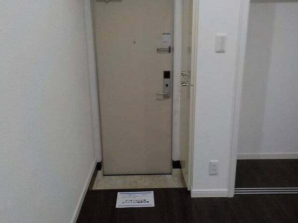 ソリッド溝の口の玄関