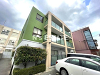 パルメゾン水木の画像