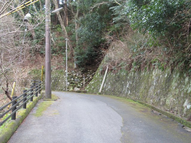 エンゼルフォレストリゾート熱海自然郷①の外観|前面道路