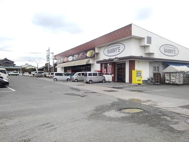 フランフラワーＡの周辺|マミーズまで850m