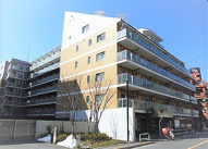 プライマル小石川の画像