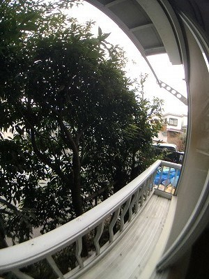 【バルコニー】 | ヨークつつじヶ丘