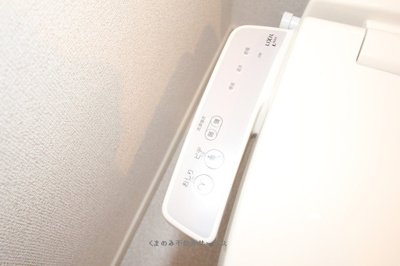 【トイレ】 | ソレイユ・タカクラ | 清潔感のあるトイレです
ソレイユ・タカクラ　102号室　2014/4/26撮影