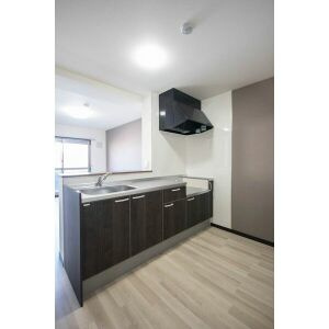 一宮市三条字今泉の賃貸マンションのキッチン