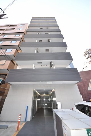 リブの外観