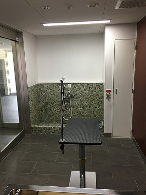 【その他共用部分】 | ミュー花水木 弐番館