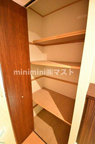 レシオ安堂寺の収納