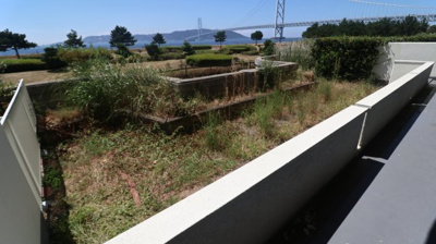 【庭】 | パラッシオ舞子