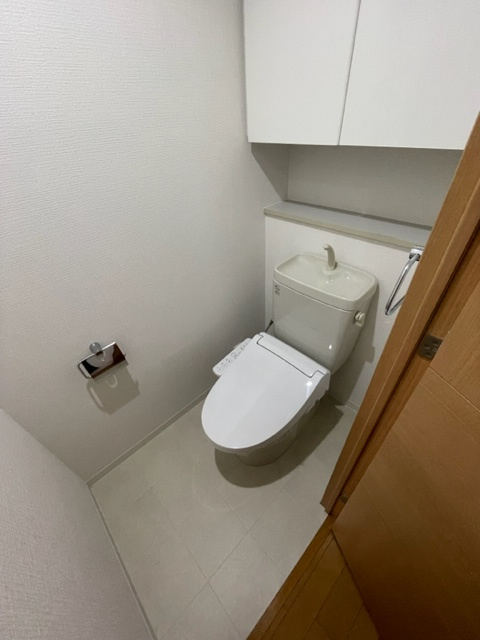 ステイツ豊中本町レジデンスのトイレ|トイレも気になるポイント