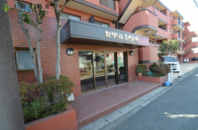 【エントランス】 | セザール第2さがみ野　２階２LDK　リフォーム済み　【仲介手数料無料】