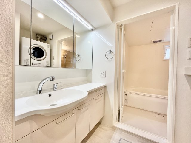 D-roomいえまるの洗面所