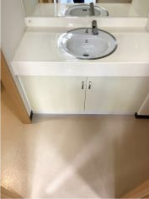 【洗面所】 | クリスタルコートNAMBA