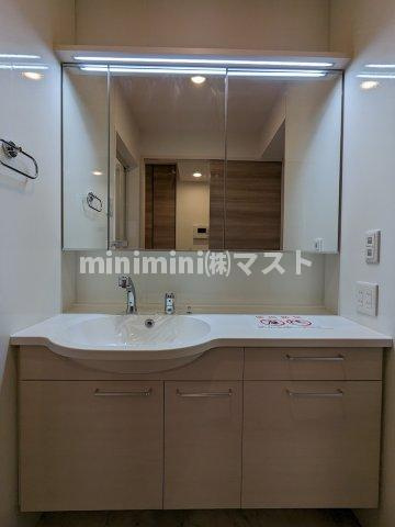 メゾン田中-海老江の洗面所