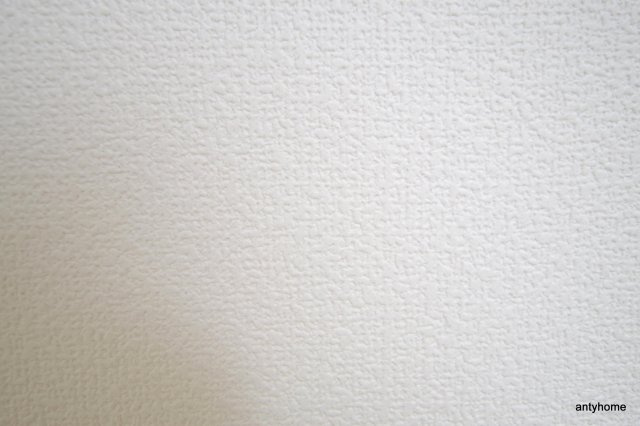 casa grande（旧天六南ハイツ） 仲介手数料無料の内装
