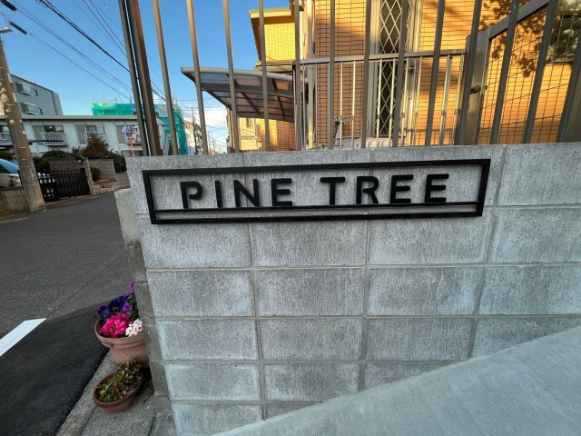 PINE　TREE