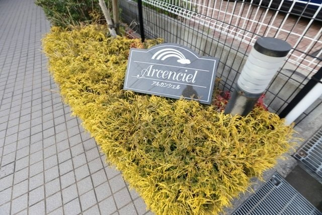 【その他】 | アルカンシェル