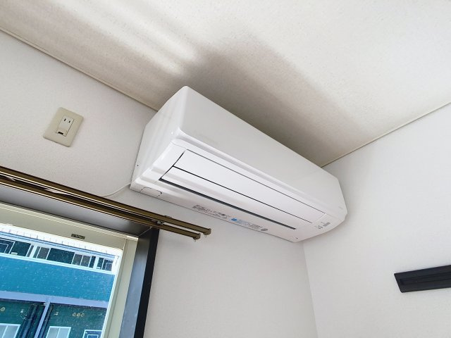 ルーキーリーグの設備