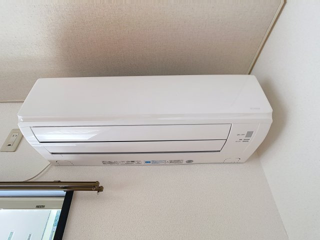 ルーキーリーグの設備