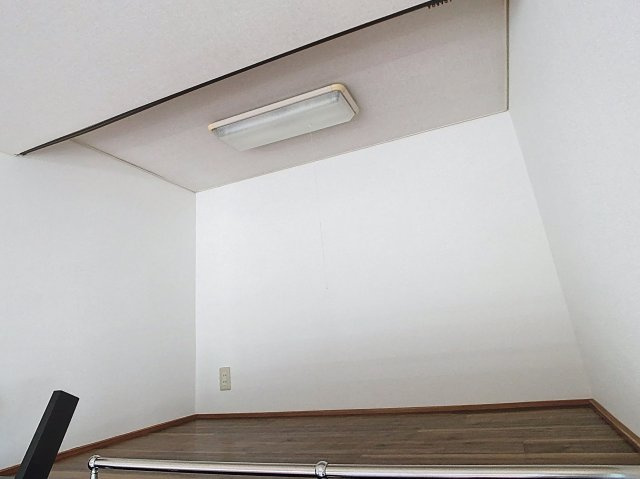 ルーキーリーグの内装